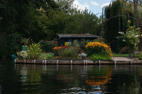 Apporter confort et modernité avec le film solaire : guide d'agencement et tendances